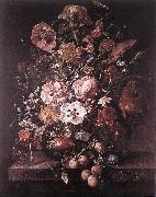 RUYSCH, Rachel